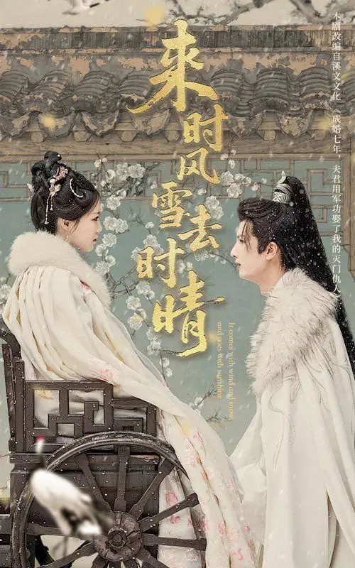 《来时风雪去时晴》：岁月静好中的暗流涌动，爱与救赎的温柔告白