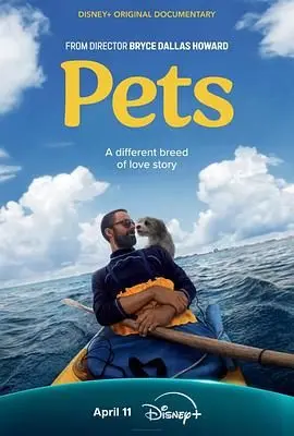 《宠 Pets》：当宠物视角遇上历史人文，现代都市人与动物关系的深度剖析！