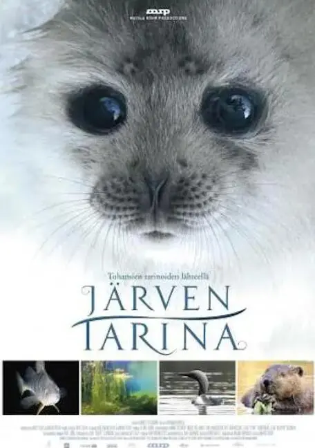 《湖泊的传说》：不止是“霸总”的童话，更是一场关于爱与救赎的奇幻史诗