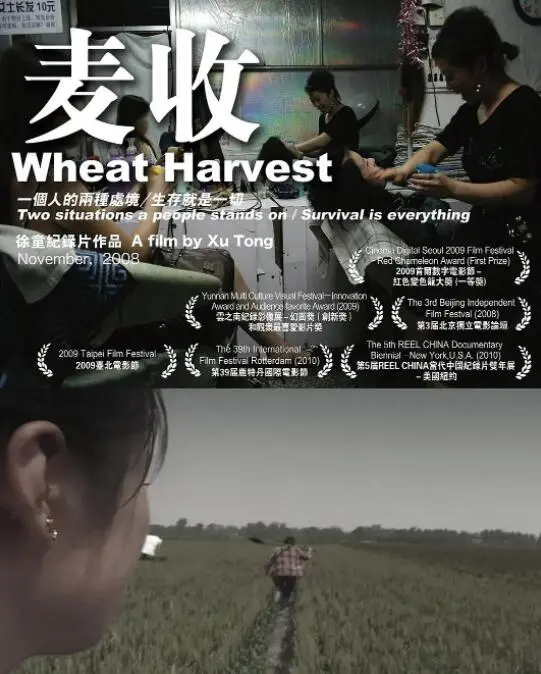 《麦收》：比现实更扎心！一场深刻的历史反思，让你重新审视生活！