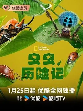 《虫虫历险记》：动画片里的“大片”，这部成长故事，大人小孩都得看哭！